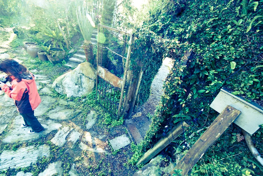 入口