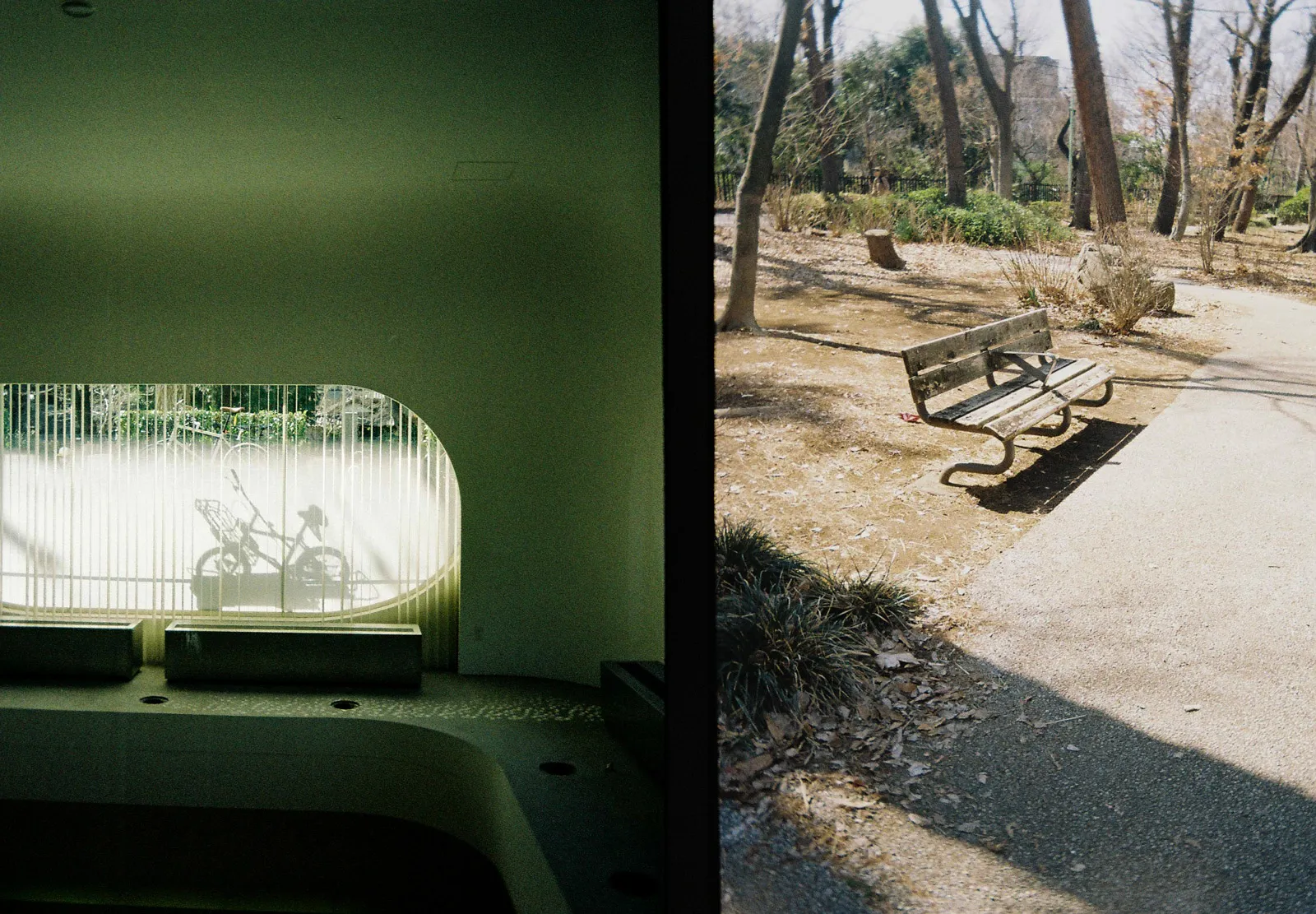 bicycle-and-bench.jpg