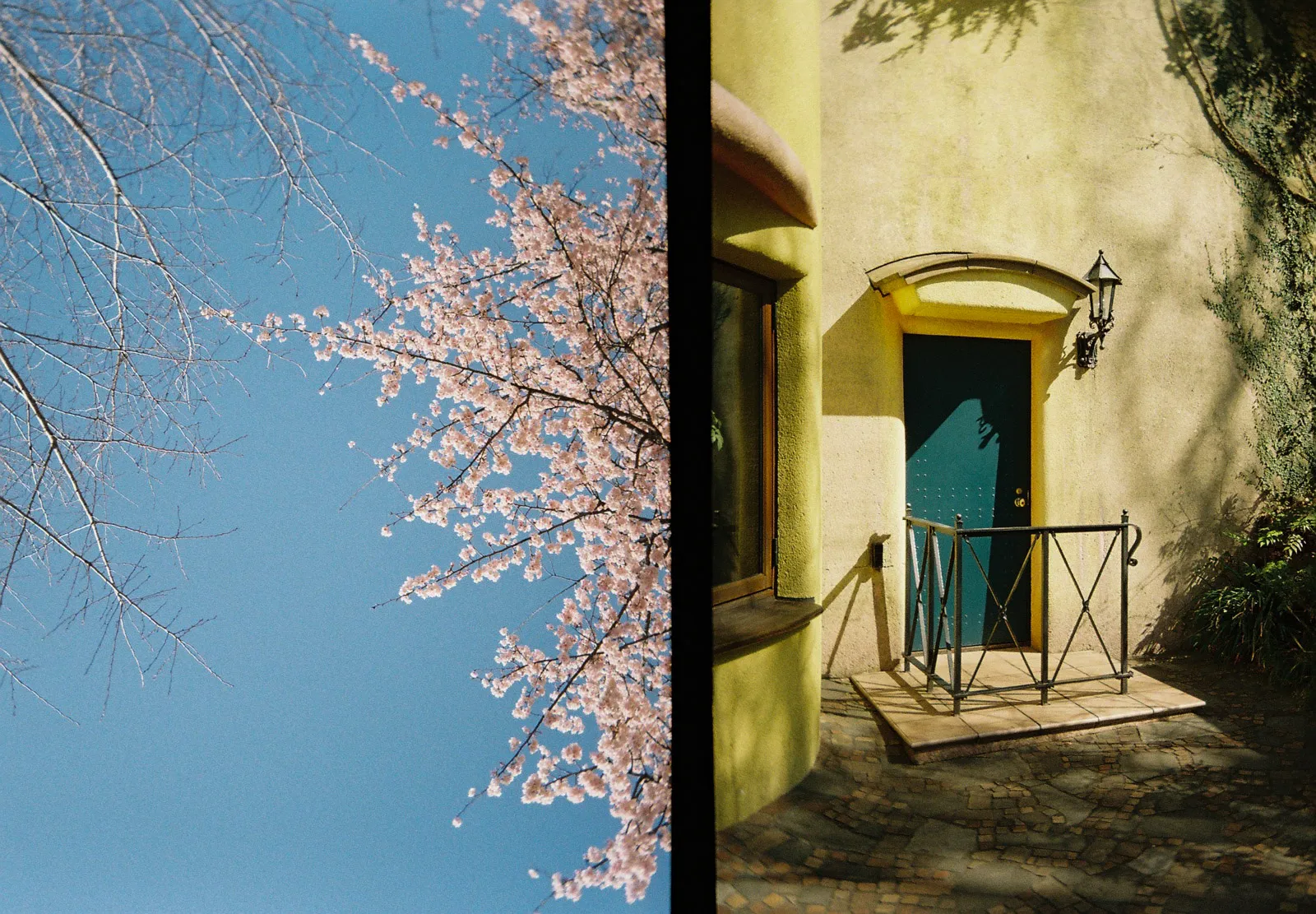 sakura-and-door.jpg