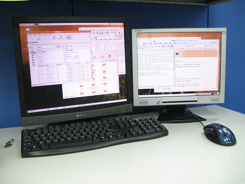 ubuntu dual-monitor