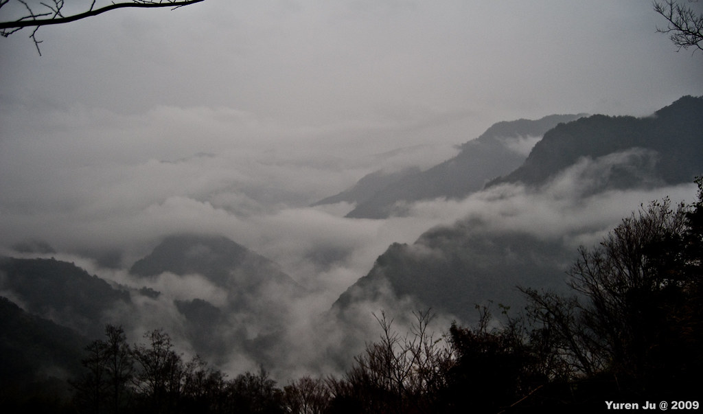 雨中的雲海 (2)