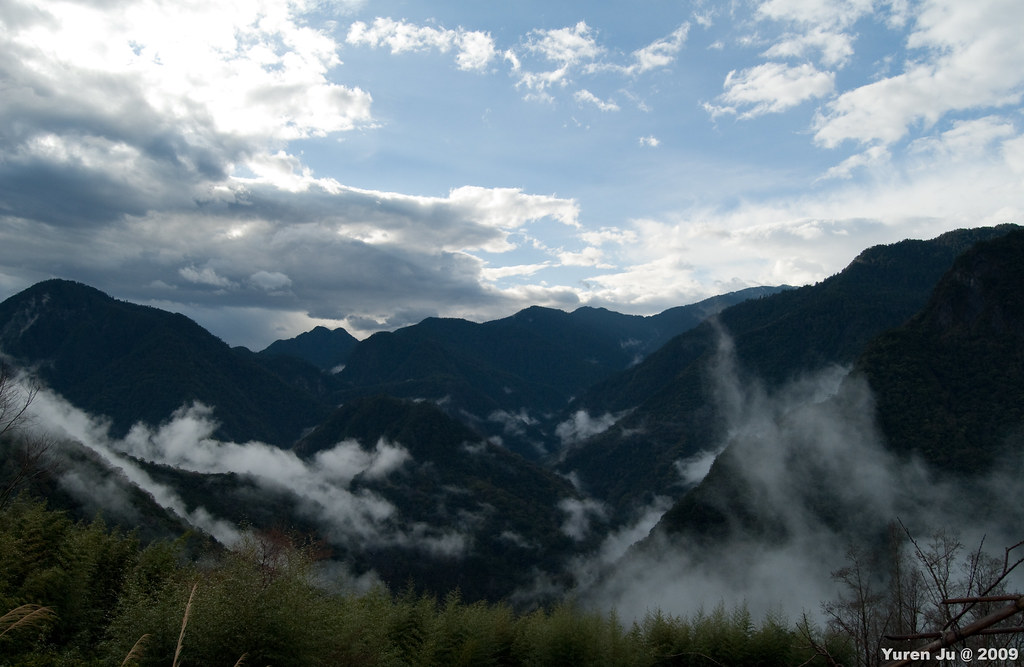 雲霧飄渺的司馬庫斯