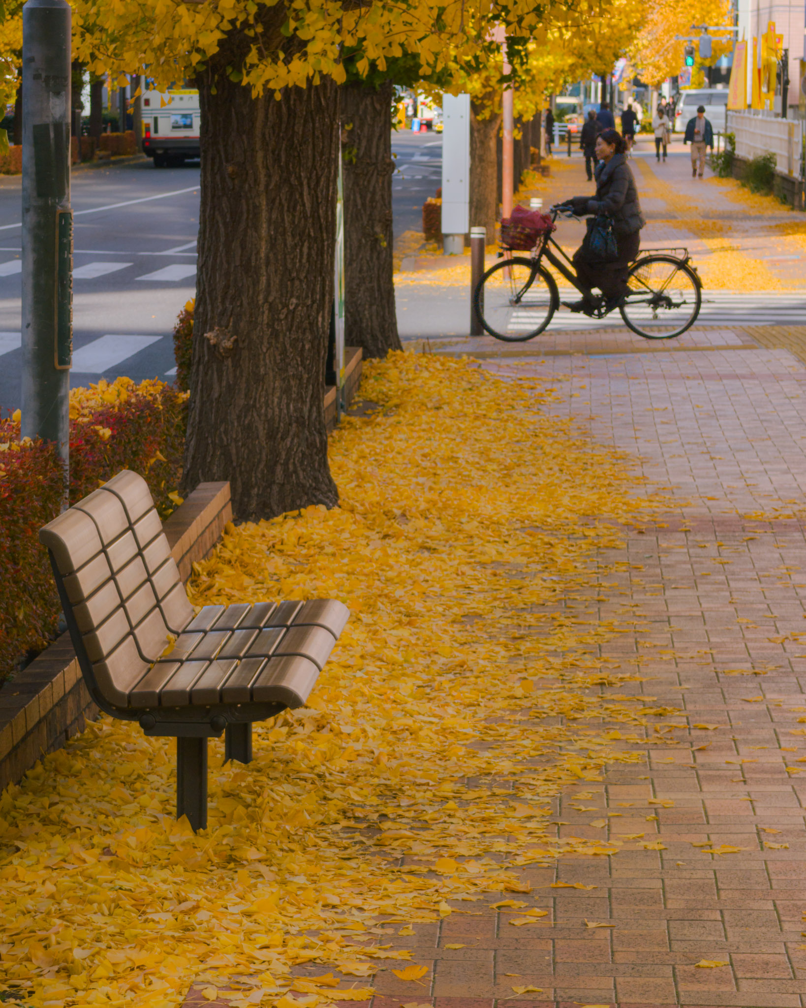 ginkgo-tree-chair.jpg