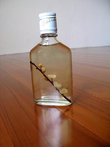 風櫃斗的紀念品-梅花酒