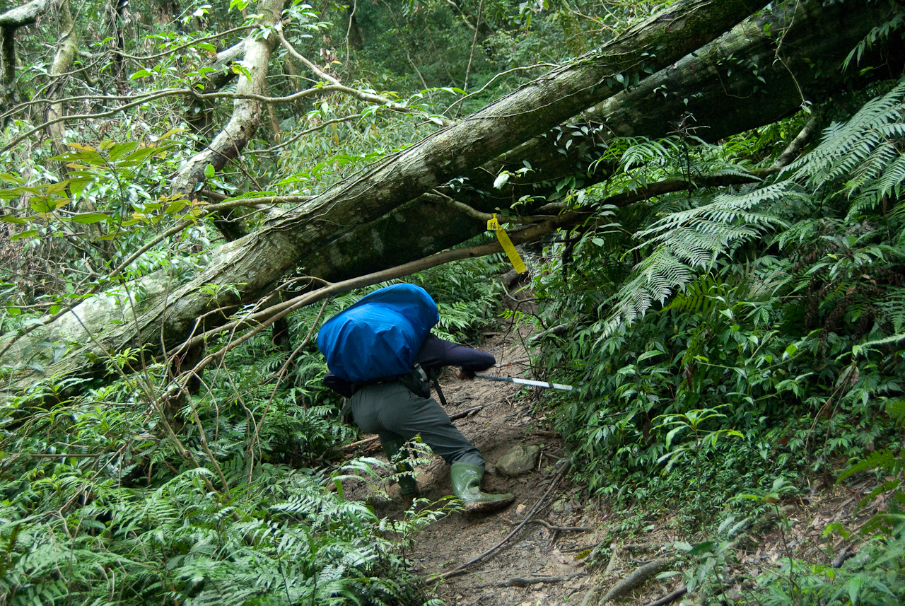 當背了重裝時,這種要蹲下來的路走起來都很吃力